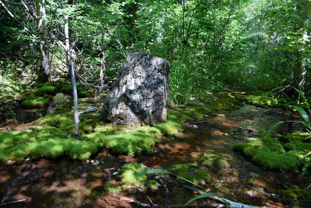 mossy creek